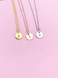 Gold Initial Necklace, Letter Charm, Dainty Necklace, N1