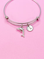 Silver Dolphin Charm Bracelet, N5092