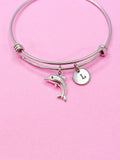 Silver Dolphin Charm Bracelet, N5092