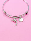Silver Dolphin Charm Bracelet, N5092