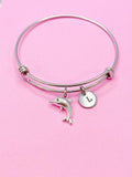 Silver Dolphin Charm Bracelet, N5092
