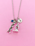 DNA Necklace, Microscope Necklace, Scientists Gift, Biology Gift, Laboratory Gift, Researcher Gift, Chemistry Gift, Forensic Jewelry, N1018