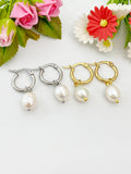 Silver or Gold Cultured Pearl Earrings, Cultured Freshwater Pearl Hoop Earrings, N3979M
