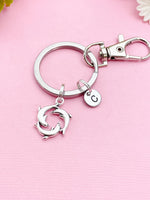 Silver or Gold Dolphin Charm Keychain, Biologist Cetologist Gifts, N148A