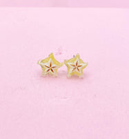 Starfruit Carambola Silver Stud Earrings, Surgical Stainless Steel, N6066