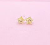 Starfruit Carambola Silver Stud Earrings, Surgical Stainless Steel, N6066