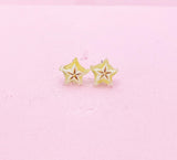 Starfruit Carambola Silver Stud Earrings, Surgical Stainless Steel, N6066