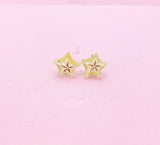 Starfruit Carambola Silver Stud Earrings, Surgical Stainless Steel, N6066