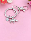 Rhinoceros Charm Keychain in Silver, N1740C