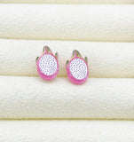 Dragon Fruit Slice Silver Stud Earrings, Surgical Stainless Steel, N6064