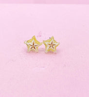 Starfruit Carambola Silver Stud Earrings, Surgical Stainless Steel, N6066