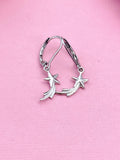 Shooting Star Earrings,  N5215B