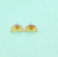Grapefruit Slice Silver Stud Earrings, Surgical Stainless Steel, N6080