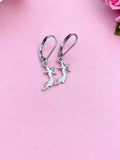 Shooting Star Earrings,  N5215B