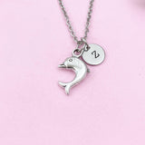 Dolphin Charm Silver Necklace, N6221
