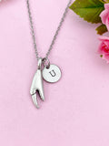 Lobster Claw Charm Silver Necklace, N6226