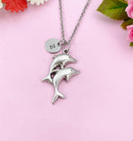 Dolphin Charm Silver Necklace, N6227