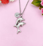 Dolphin Charm Silver Necklace, N6227