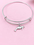 Seal Charm Bracelet, Stainless Steel Bangle, Biologist Gift