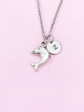Dolphin Charm Silver Necklace, N6221