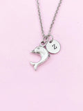 Dolphin Charm Silver Necklace, N6221