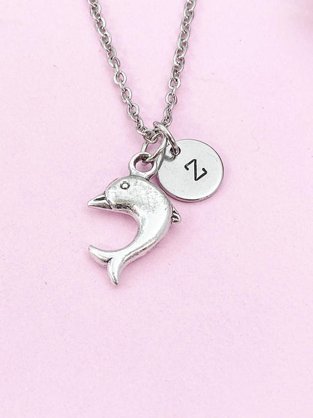 Dolphin Charm Silver Necklace, N6221