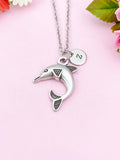 Dolphin Charm Silver Necklace, N6225