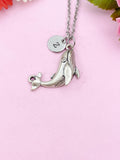 Blue Whale Charm Silver Necklace, N6229