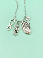 Anatomy Heart Stethoscope Caduceus Charm Silver Necklace, Cardiologist Gift, Medical School Student Gifts, N5283N