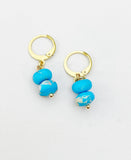 Regalite Imperial Jasper Sea Sediment Jasper Earrings in Gold or Silver, Natural Gemstone Jewelry, N6360E