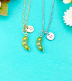 Sweet Pea Charm Necklace in Gold or Silver, Pea in the Pod, N6333