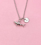 Shark Charm Silver Necklace, Biologist Research Technician Aquarist Jewelry Gifts, N6539