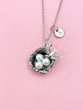 Bird Nest Charm Silver Necklace, N6549