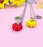 Pumpkin Charm Silver Necklace, Fall Gifts, N6618M