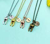 Molar Tooth Charm Necklace, Dentist Medical School Gift, N6660M