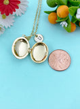 Gold White Pearl Pink Violet Enamel Locket Oval Pendant Necklace, Keepsake Photo Frame Jewelry, N6593
