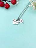 silver Princess Heart Charm Necklace, N827