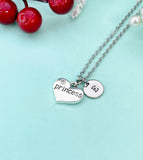 silver Princess Heart Charm Necklace, N827