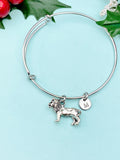 Silver Lion Bracelet Bangle, Lucky Charm, Personized Initial Bracelet, N4936