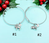 Silver Bison Buffalo Charm Bracelet, Wildlife Specialist Biologist Gifts, N1891M