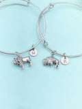 Silver Bison Buffalo Charm Bracelet, Wildlife Specialist Biologist Gifts, N1891M