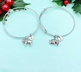 Silver Bison Buffalo Charm Bracelet, Wildlife Specialist Biologist Gifts, N1891M