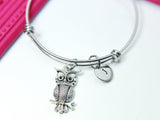 Owl Bracelet, Silver Owl Charm Bracelet, Owl Charm, Owl Jewelry, Bird Charm, Personalized Gift, N2118