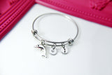 Silver Dolphin Charm Bracelet, Stainless Steel Bracelet, Personalized Jewelry, N2257